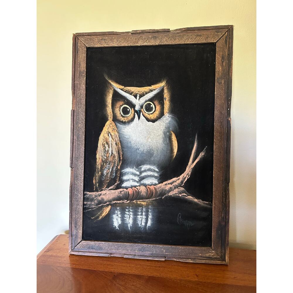 Vintage Owl Painting on Black Velvet